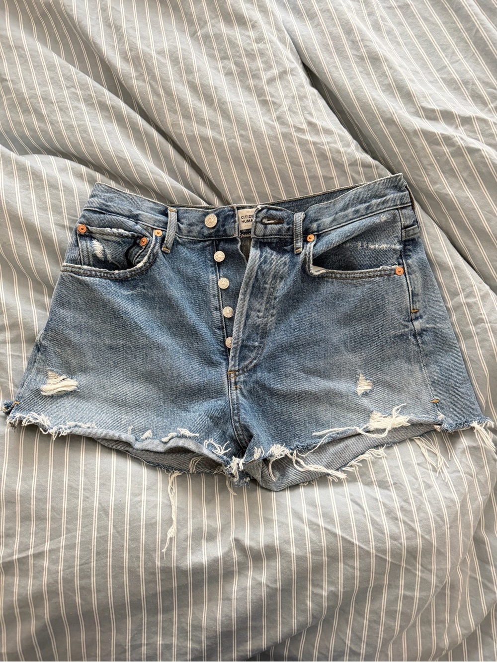 Citizens of Humanity Marlow Shorts